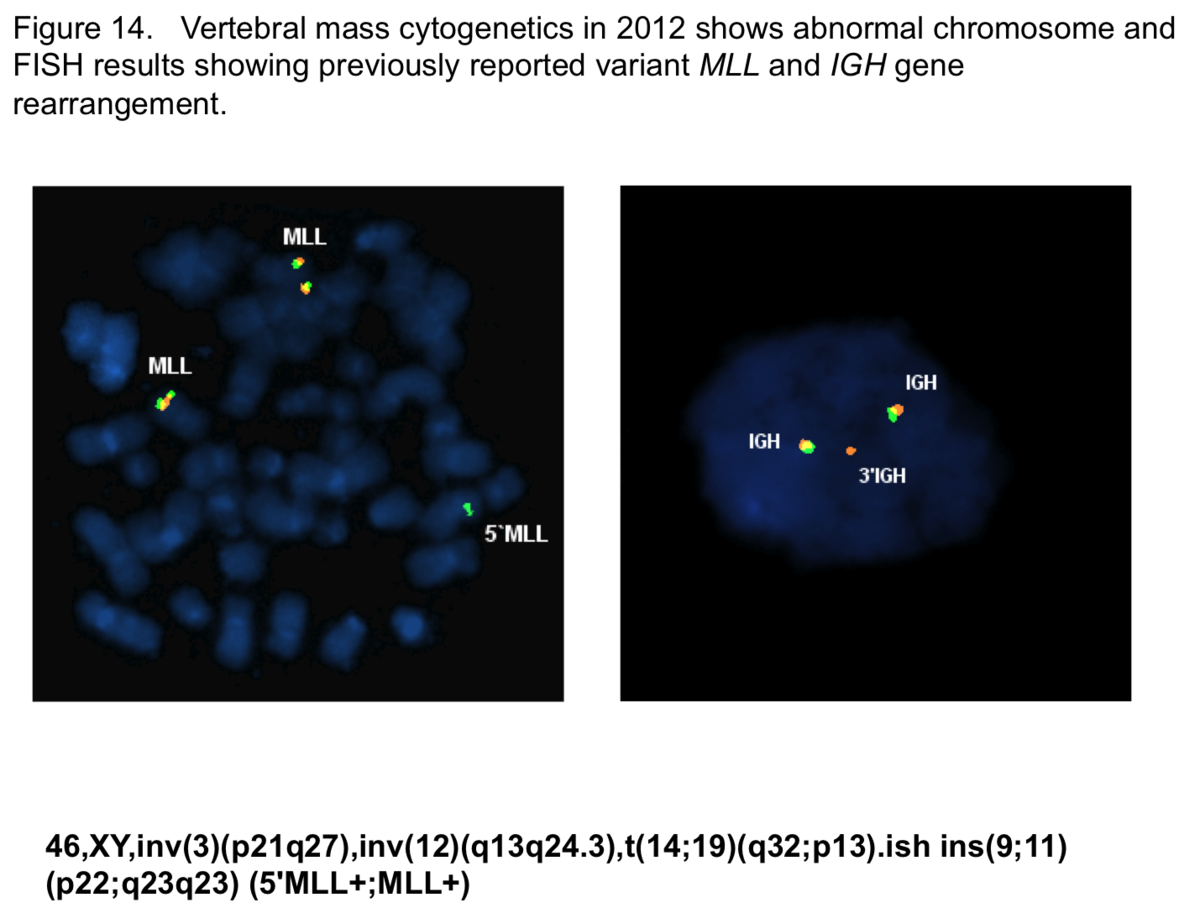 Figure 14